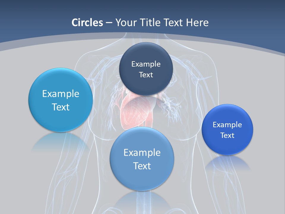 Skull Flying Medicine PowerPoint Template