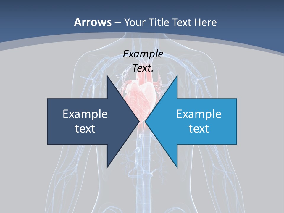 Skull Flying Medicine PowerPoint Template