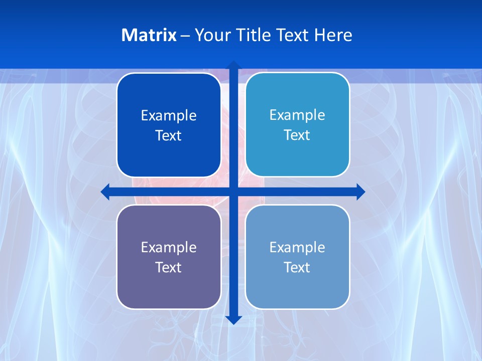 Circulation Health Science PowerPoint Template