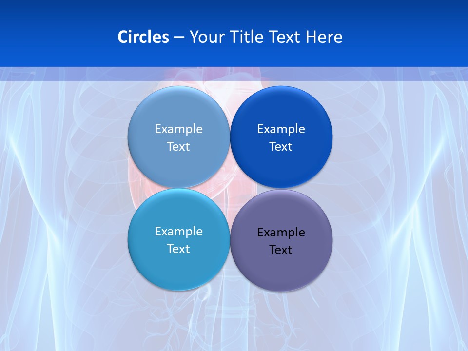 Circulation Health Science PowerPoint Template