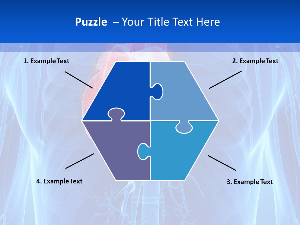 Circulation Health Science PowerPoint Template