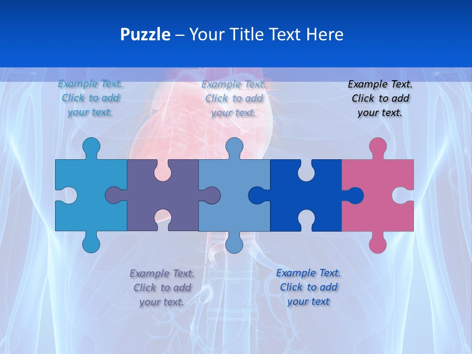 Circulation Health Science PowerPoint Template