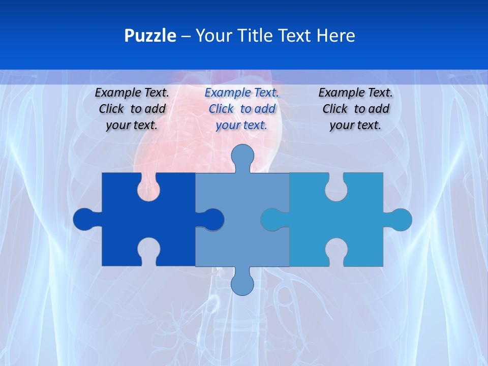 Circulation Health Science PowerPoint Template