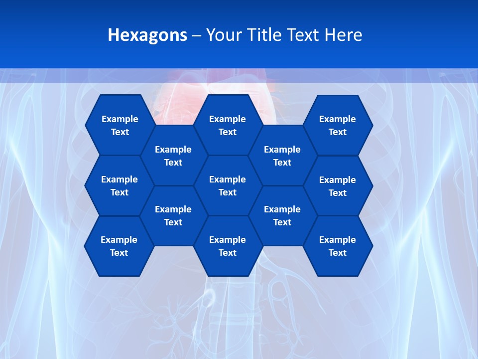 Circulation Health Science PowerPoint Template