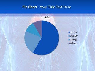 Circulation Health Science PowerPoint Template