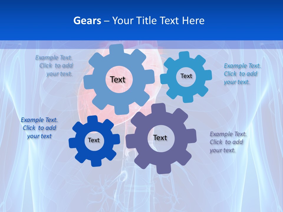 Circulation Health Science PowerPoint Template