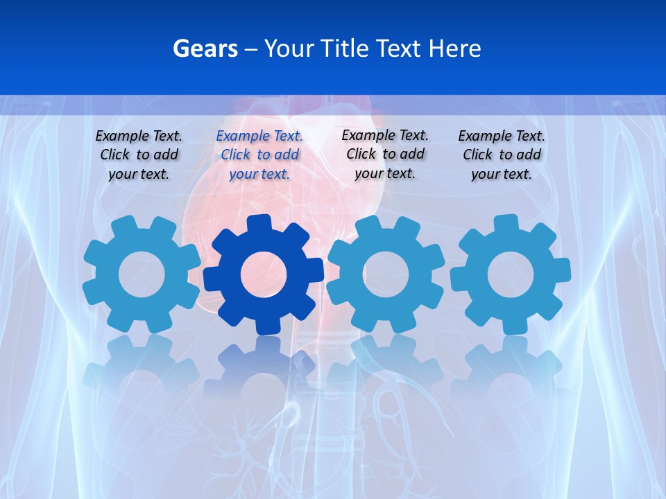Circulation Health Science PowerPoint Template