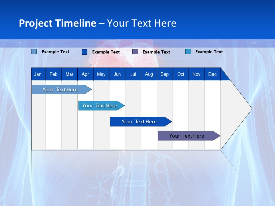 Circulation Health Science PowerPoint Template