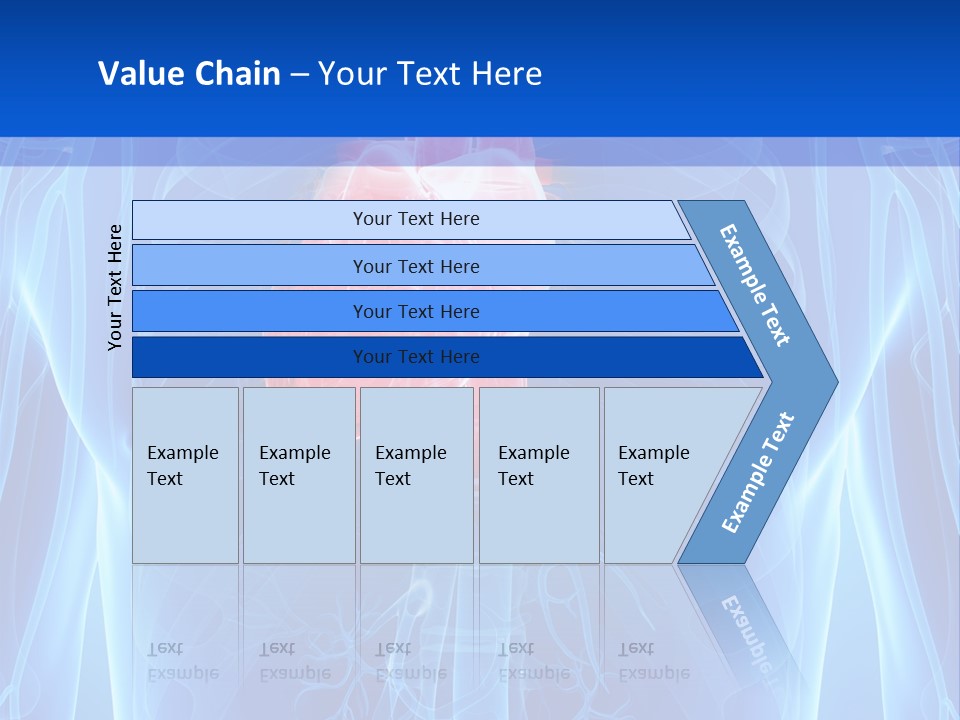 Circulation Health Science PowerPoint Template