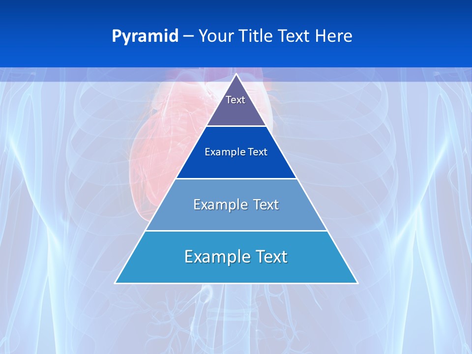 Circulation Health Science PowerPoint Template