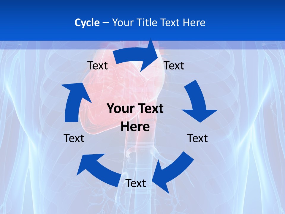 Circulation Health Science PowerPoint Template
