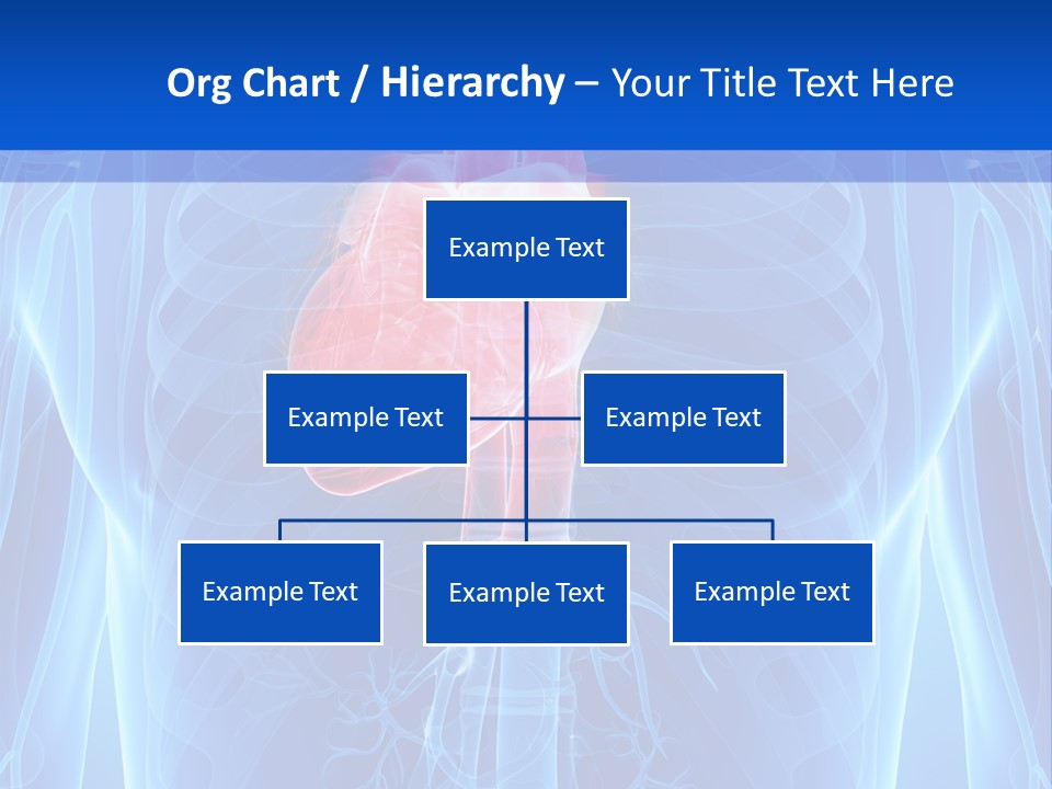 Circulation Health Science PowerPoint Template
