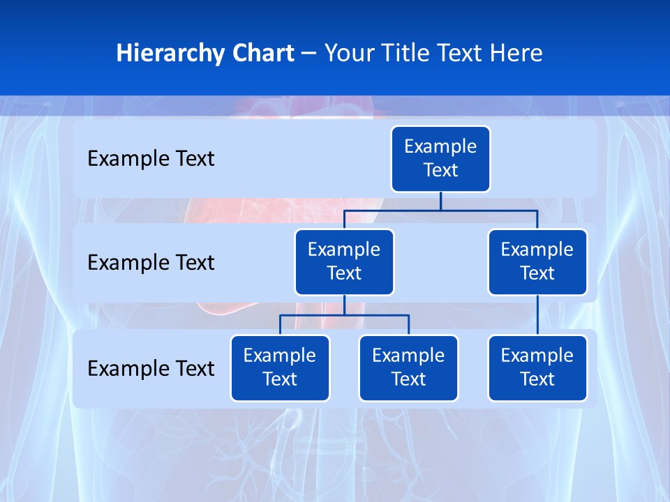 Circulation Health Science PowerPoint Template