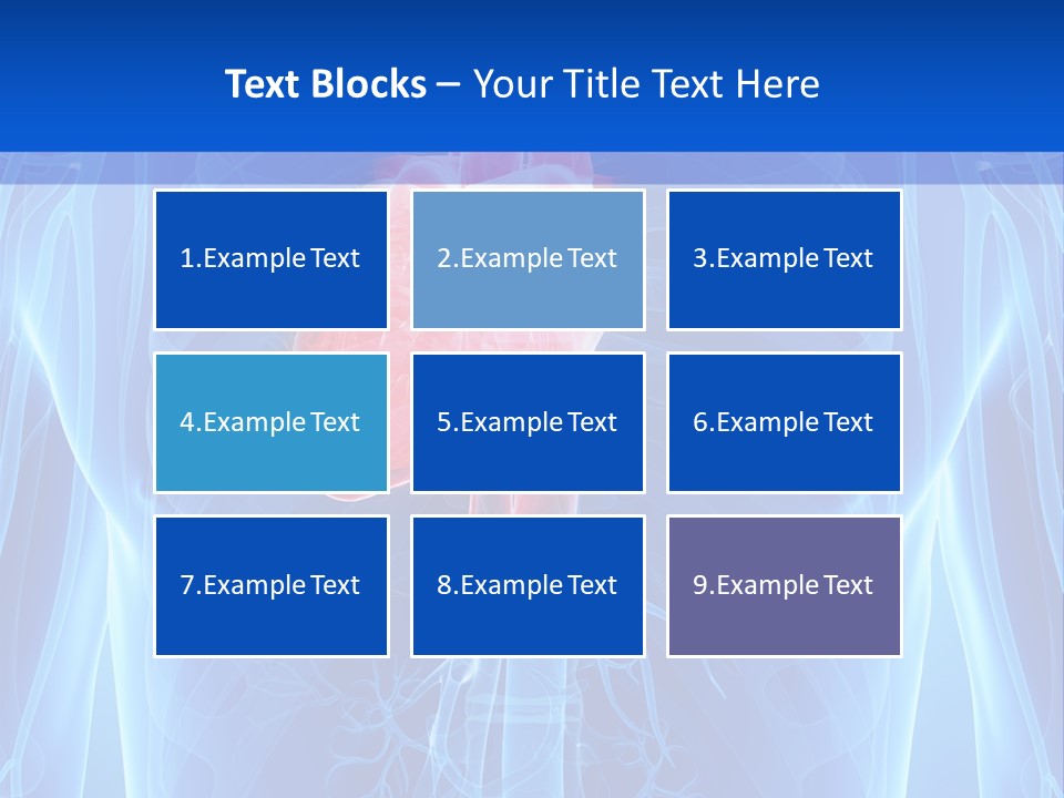 Circulation Health Science PowerPoint Template