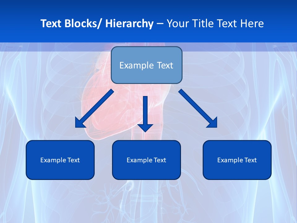 Circulation Health Science PowerPoint Template