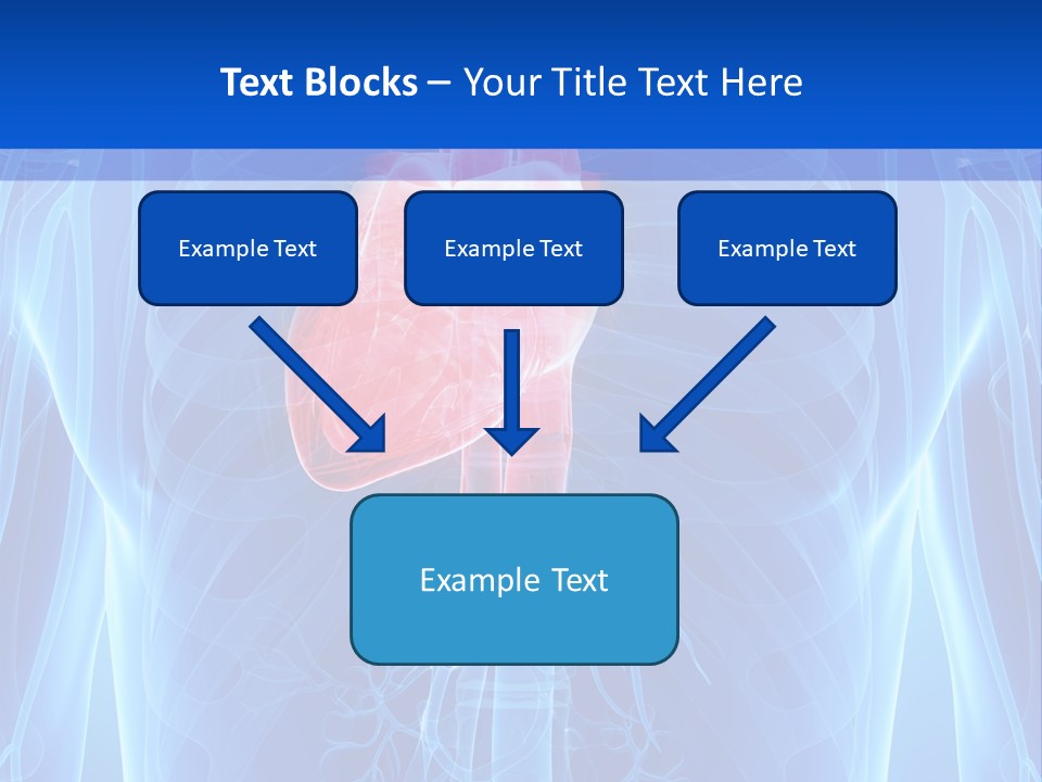 Circulation Health Science PowerPoint Template