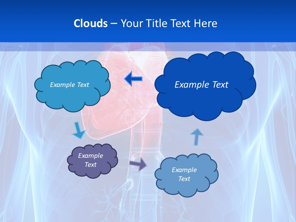 Circulation Health Science PowerPoint Template