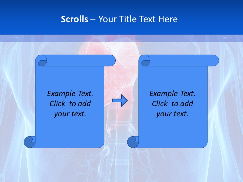Circulation Health Science PowerPoint Template
