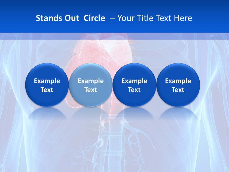 Circulation Health Science PowerPoint Template