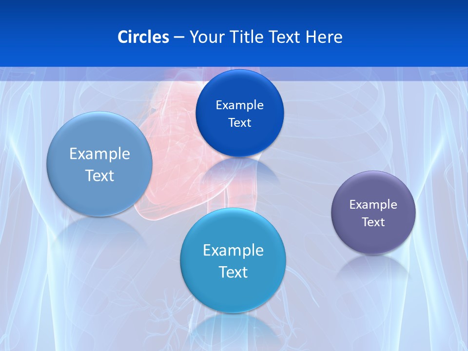 Circulation Health Science PowerPoint Template