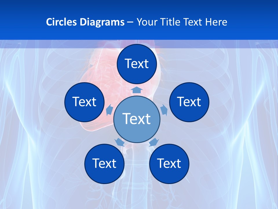 Circulation Health Science PowerPoint Template