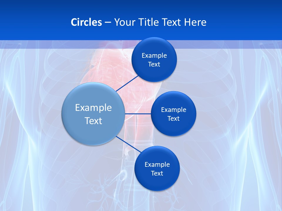 Circulation Health Science PowerPoint Template