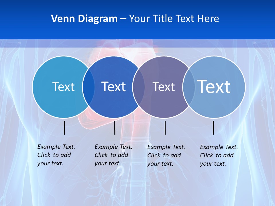 Circulation Health Science PowerPoint Template