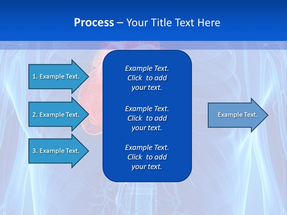 Circulation Health Science PowerPoint Template