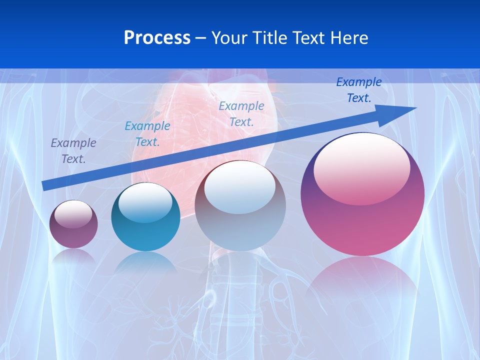Circulation Health Science PowerPoint Template