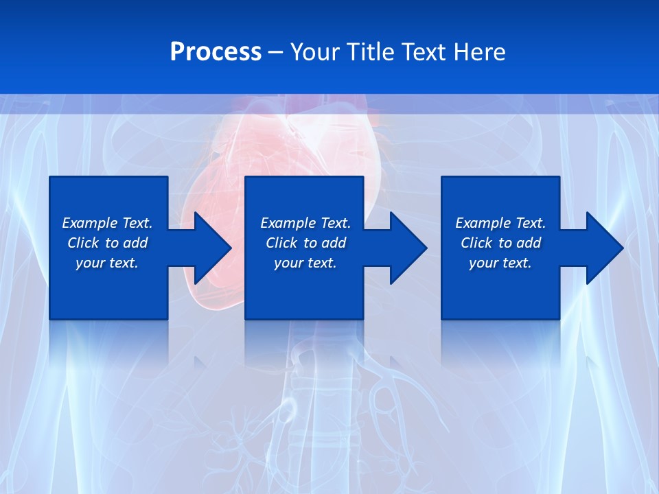 Circulation Health Science PowerPoint Template