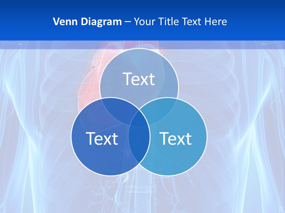 Circulation Health Science PowerPoint Template