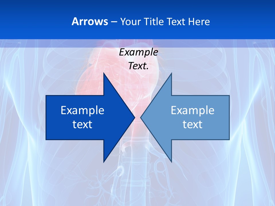 Circulation Health Science PowerPoint Template