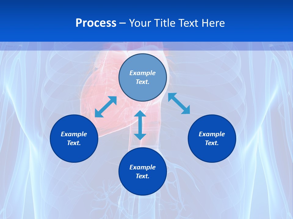 Circulation Health Science PowerPoint Template