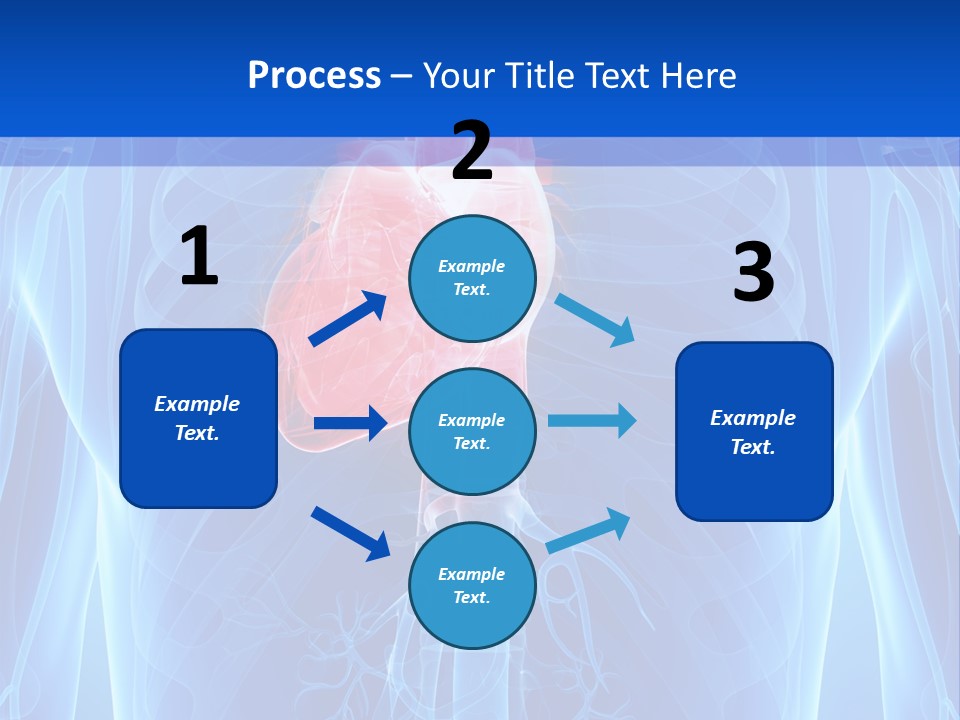 Circulation Health Science PowerPoint Template