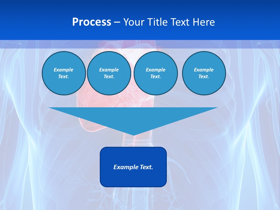 Circulation Health Science PowerPoint Template