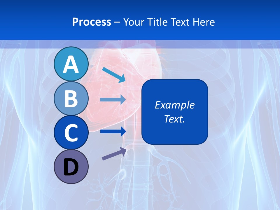 Circulation Health Science PowerPoint Template