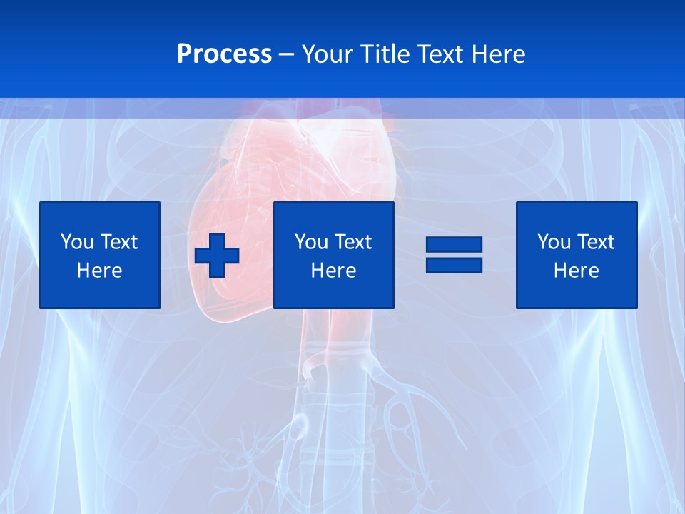 Circulation Health Science PowerPoint Template