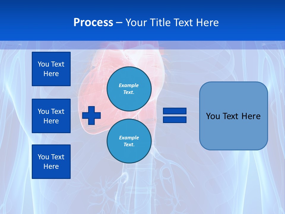 Circulation Health Science PowerPoint Template