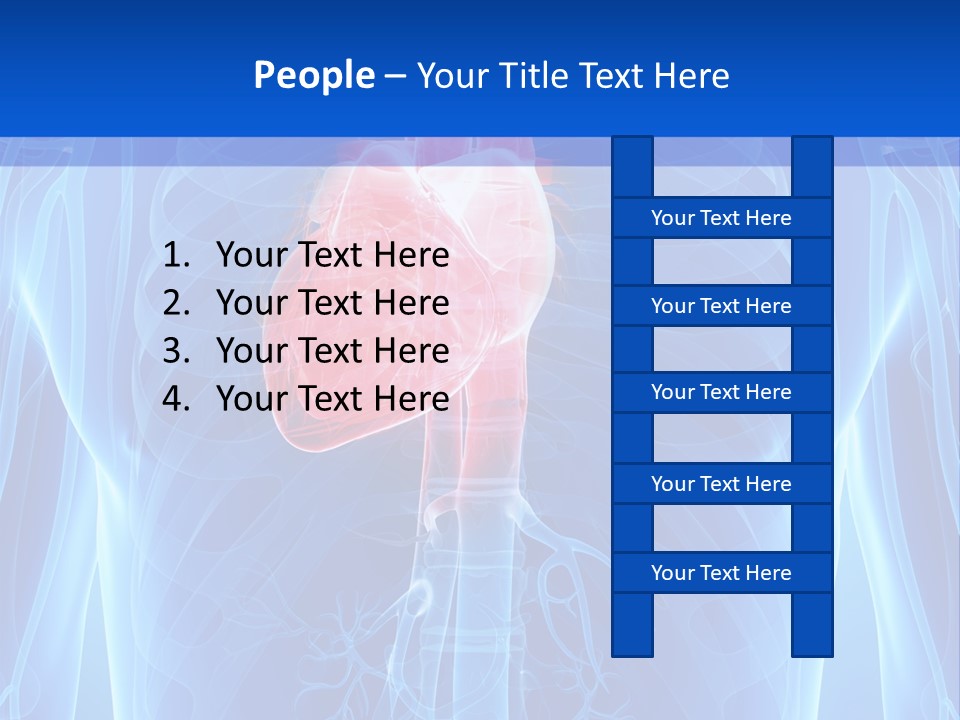 Circulation Health Science PowerPoint Template