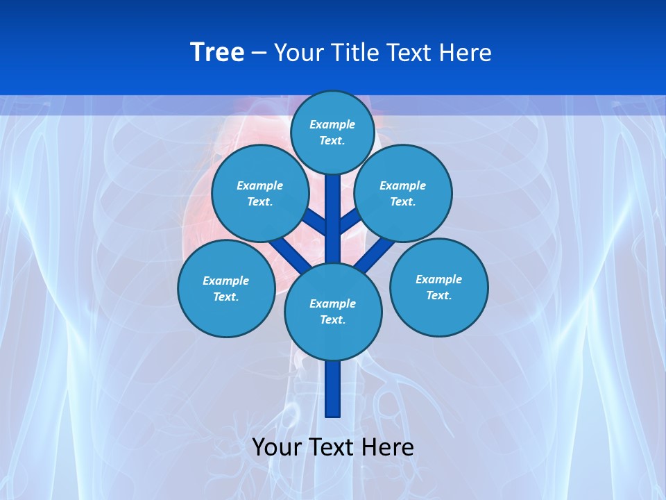 Circulation Health Science PowerPoint Template