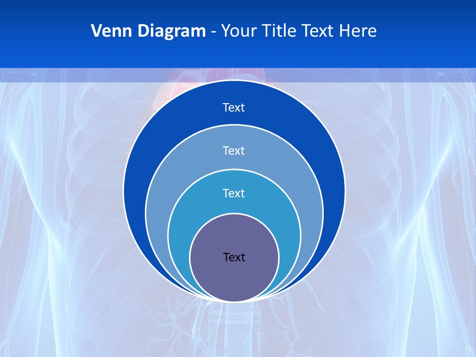 Circulation Health Science PowerPoint Template