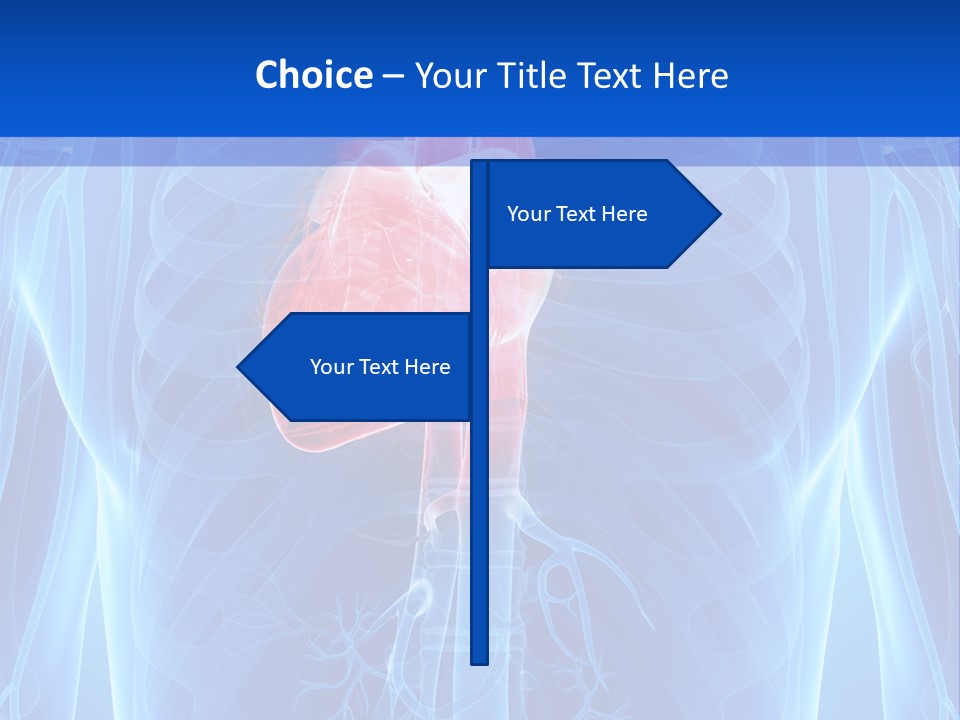 Circulation Health Science PowerPoint Template