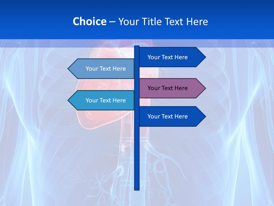 Circulation Health Science PowerPoint Template
