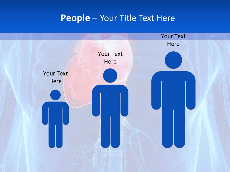 Circulation Health Science PowerPoint Template