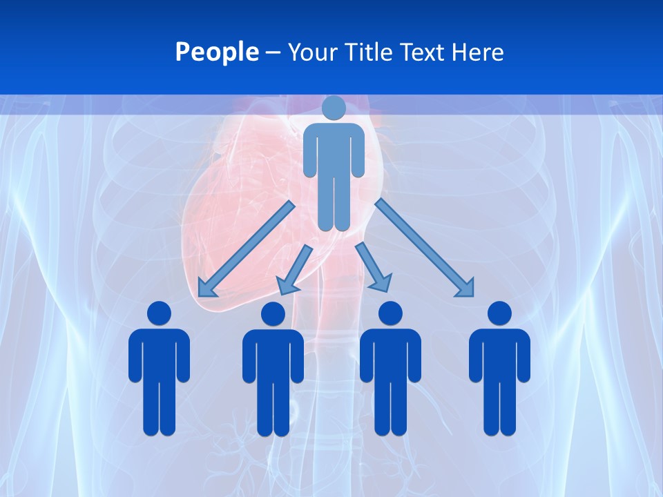 Circulation Health Science PowerPoint Template