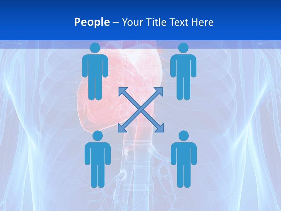 Circulation Health Science PowerPoint Template