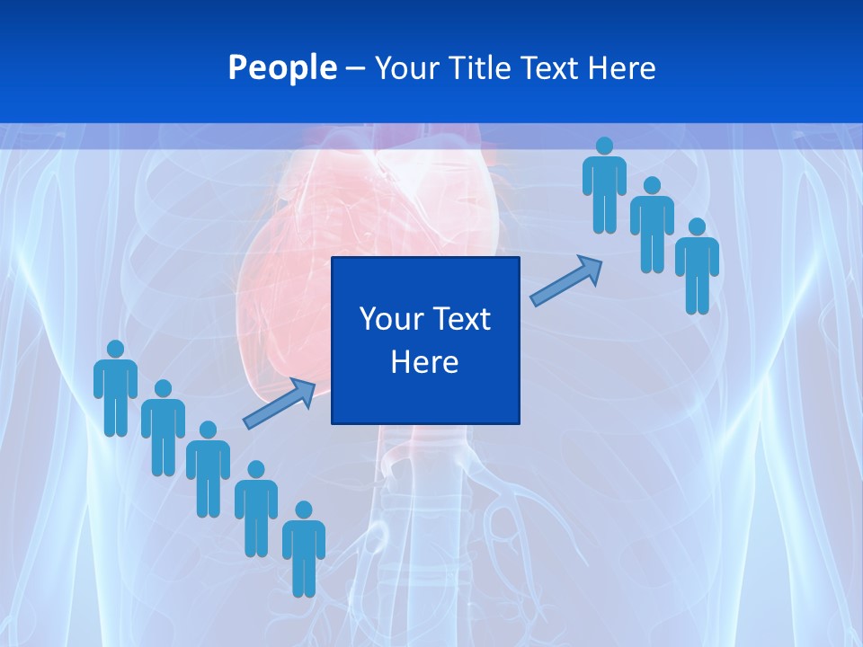 Circulation Health Science PowerPoint Template