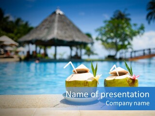 Moorea Pina Vacation PowerPoint Template