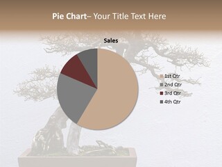 Botany Small Foliage PowerPoint Template