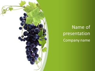 Sommelier Fruit Viticulture PowerPoint Template